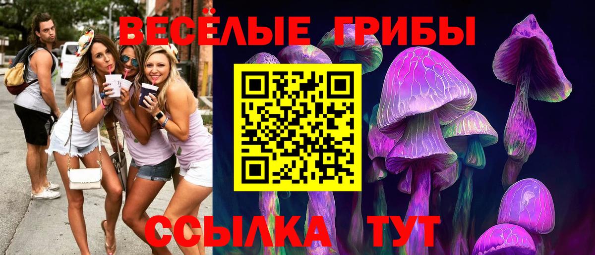 Галлюциногенные грибы Psilocybine cubensis Волоколамск